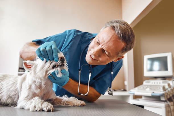 Best Emergency Denture Repair in Carthage, TX